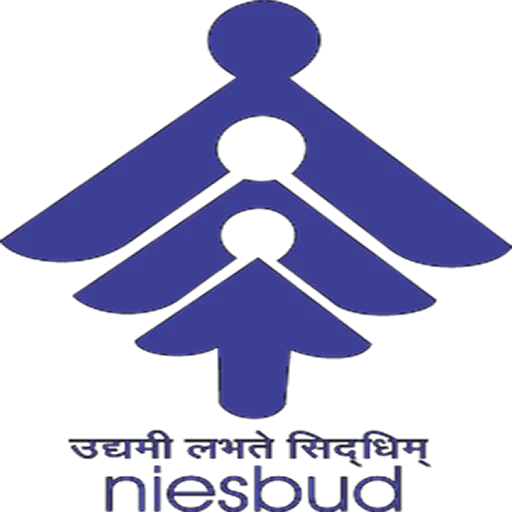 Nat. Inst. for Entrepreneurship & Small Business Development logo